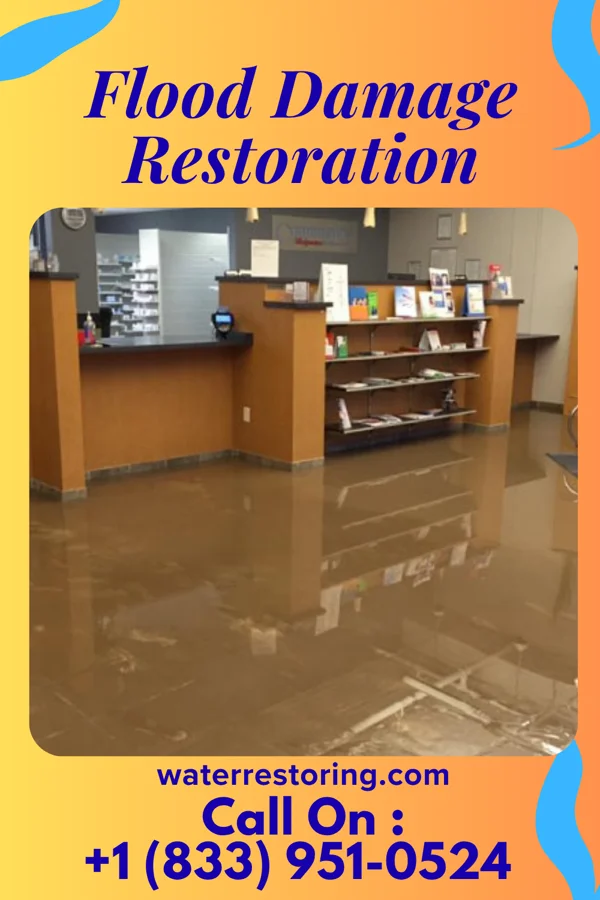 Flood Damage Restoration in Ellisville, IL